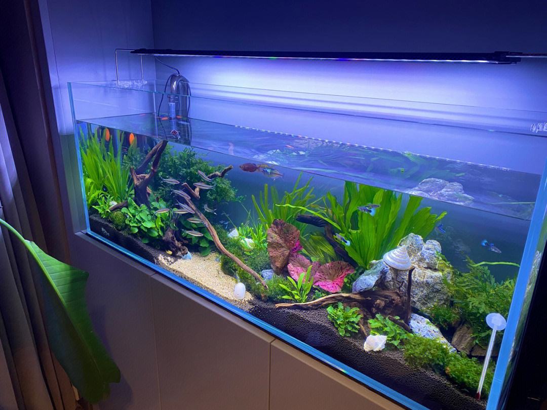 上海环跃水族设备工程有限公司