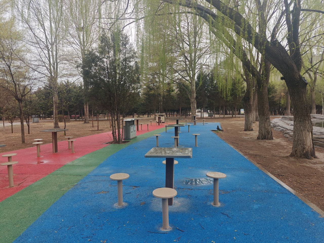 棋牌苑