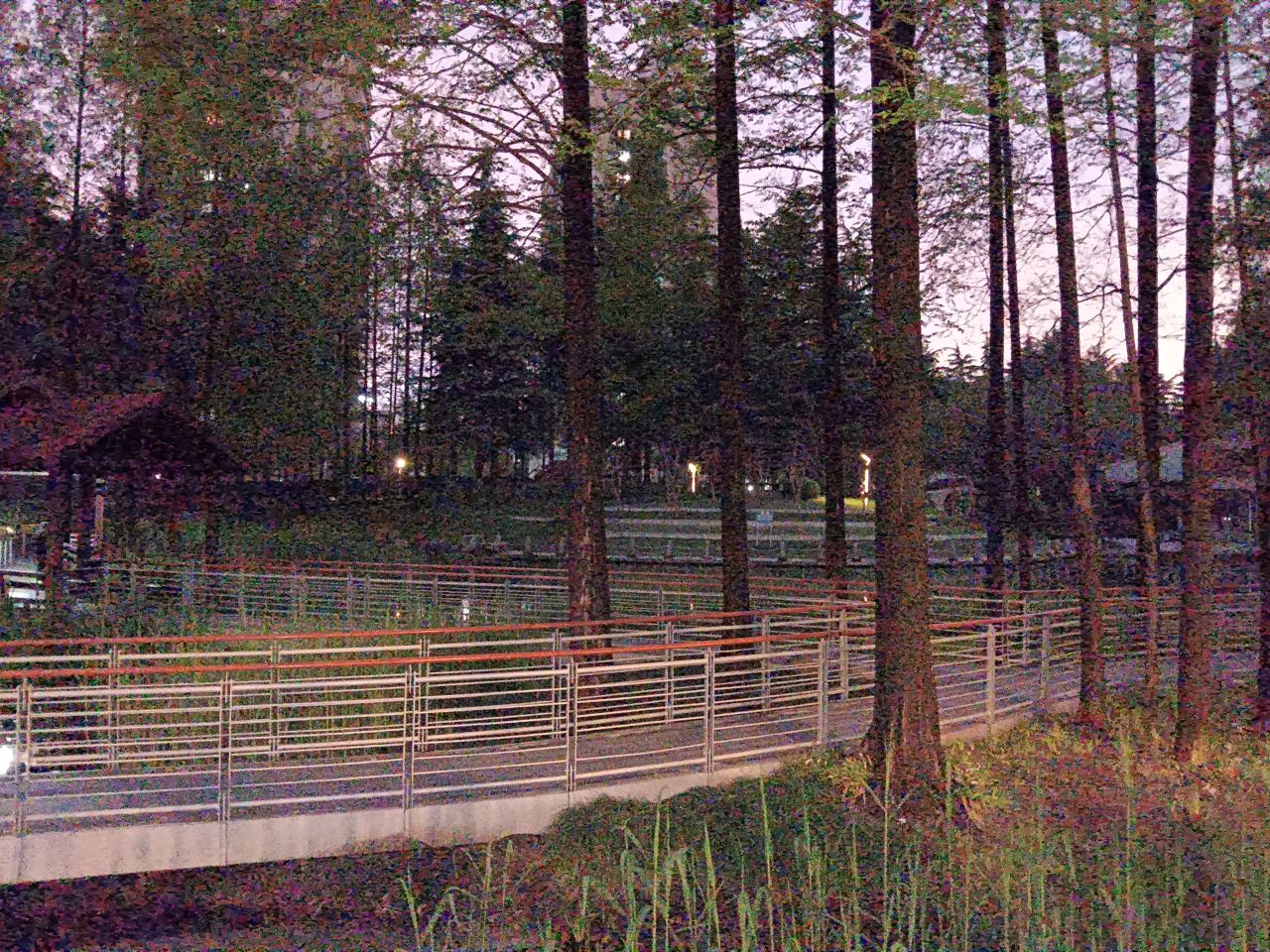 塘桥公园-水生植物园
