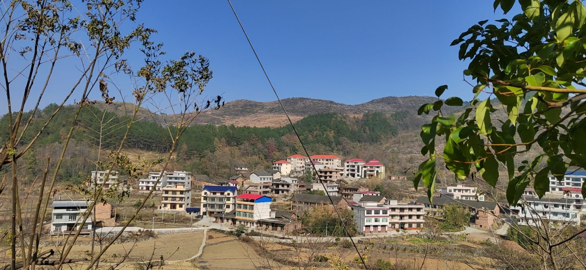 檀树村