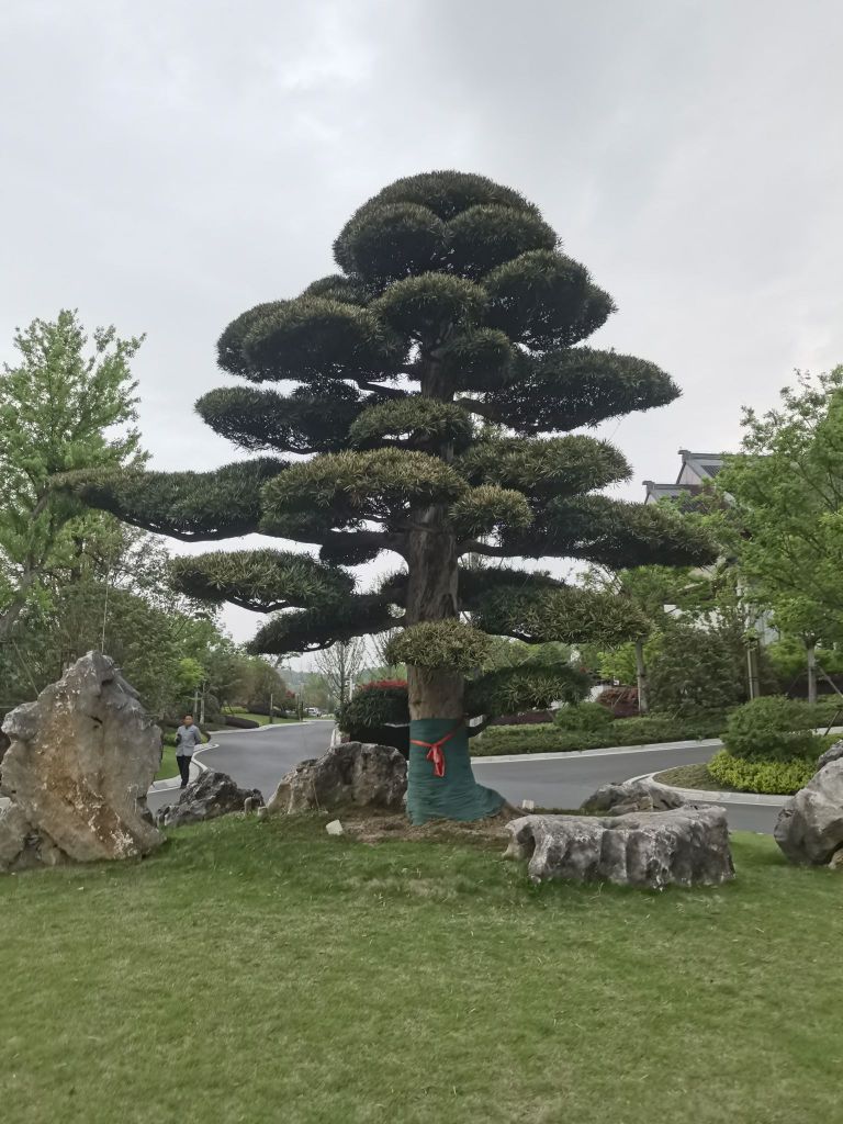 聆心谷开元温泉度假区