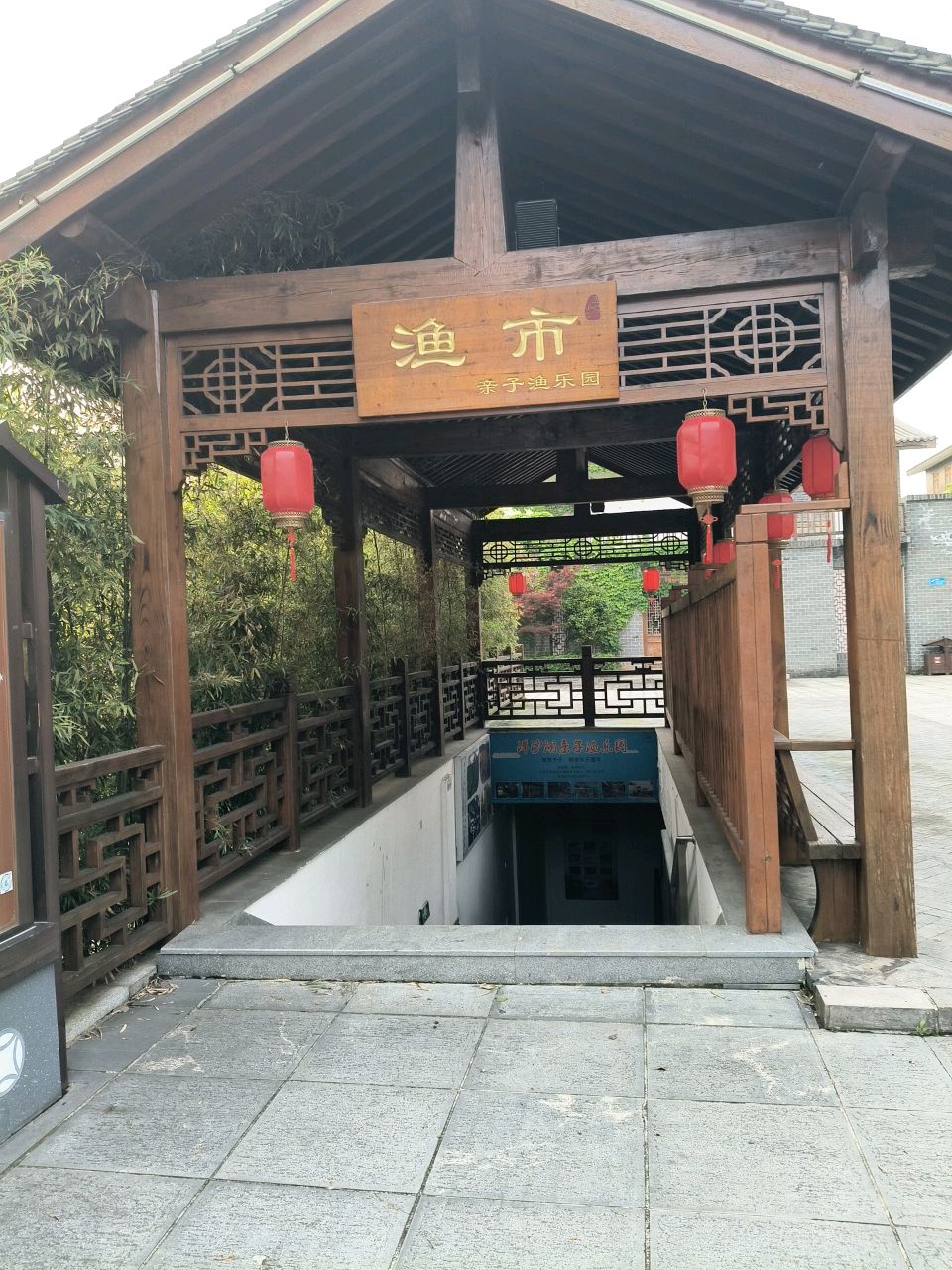 淡水鱼世界