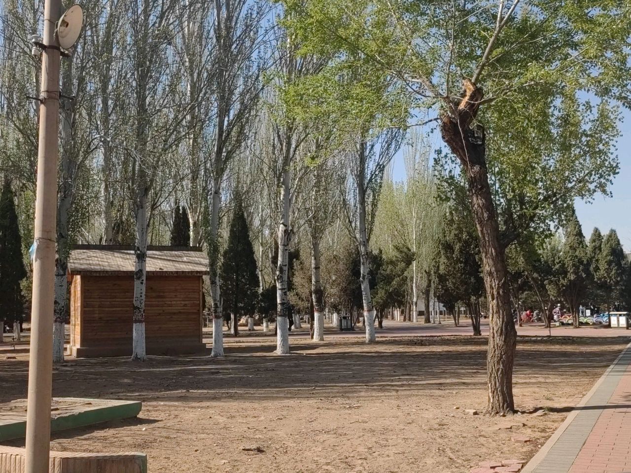 射箭竞技弑