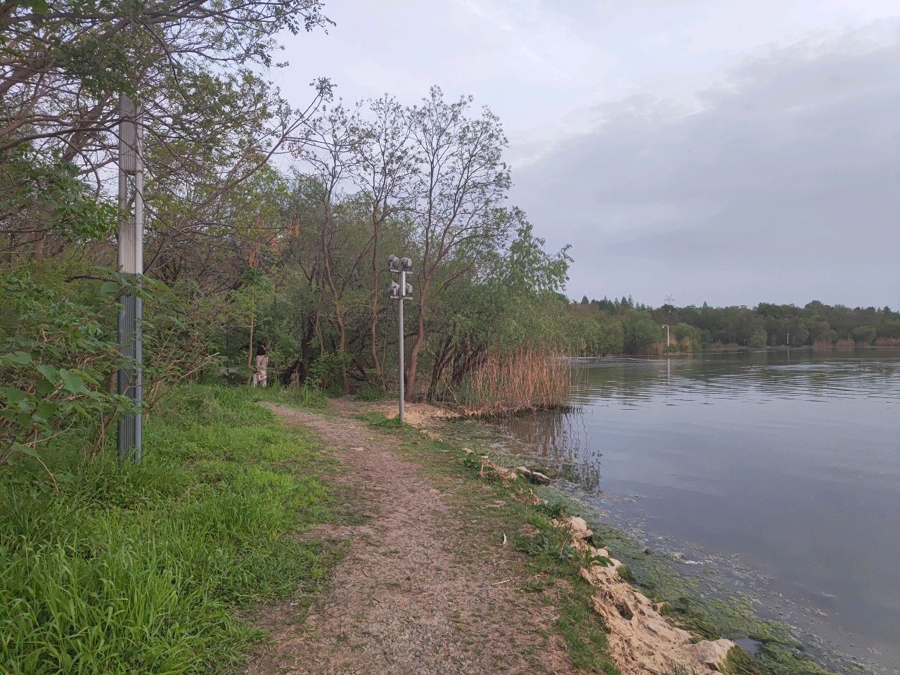 水湾湿地
