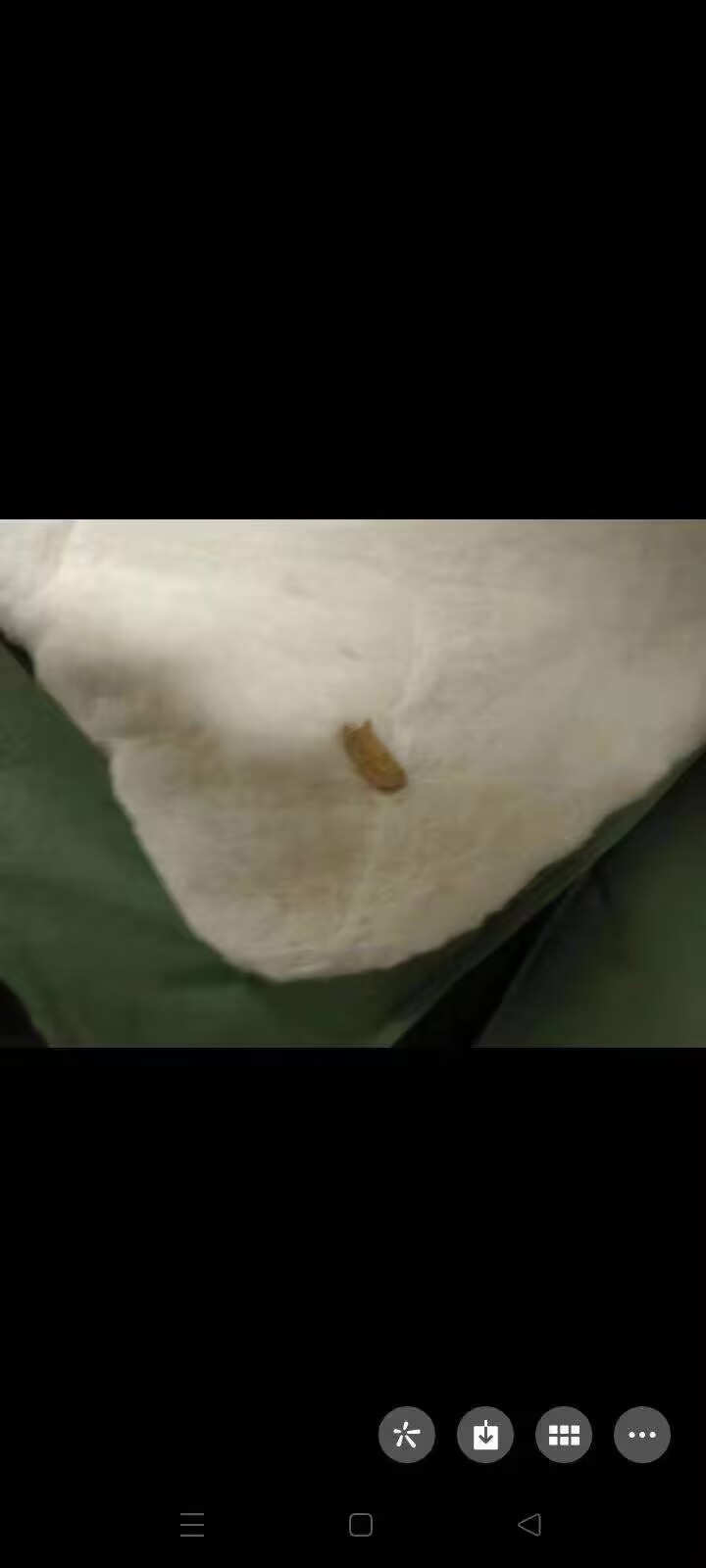赤壁研学小镇营地