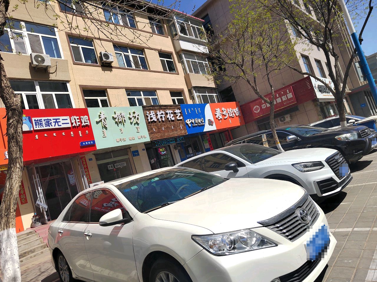 糗柠咂浅花艺