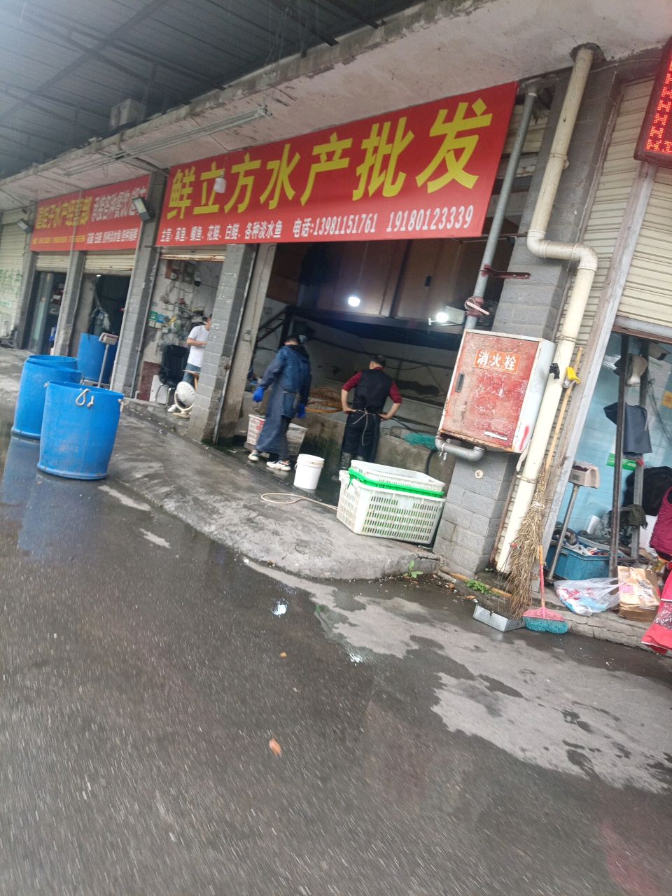 鲜立方水产批发