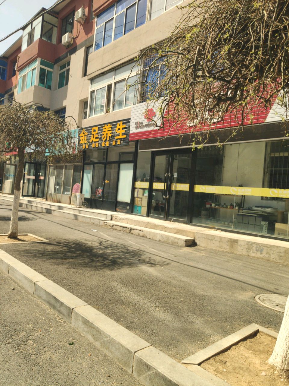 金足养生
