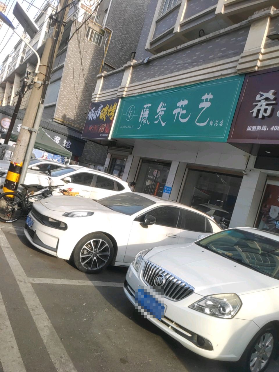 顺违虮碳顺烤家