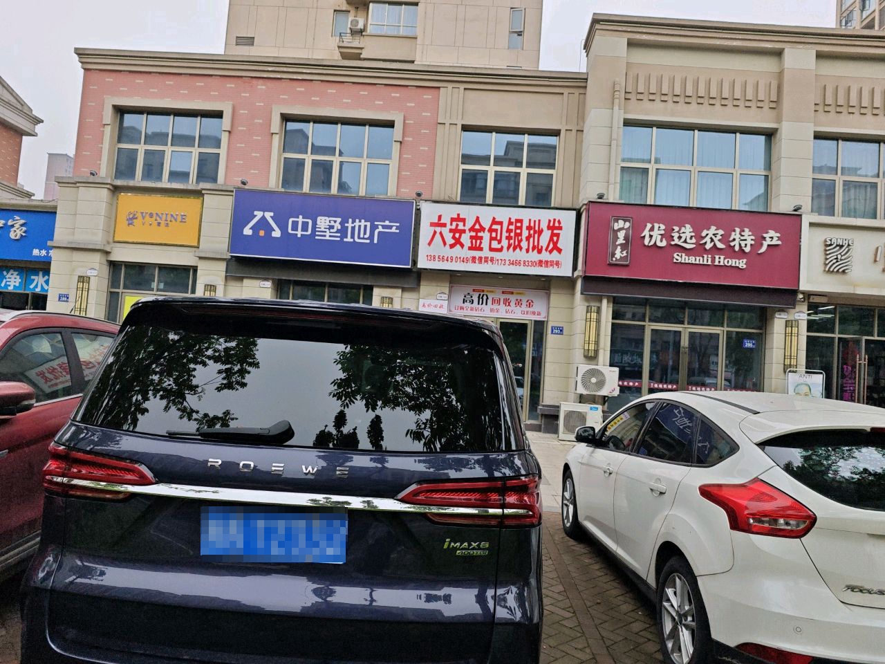 六安金银钳包鸲批发