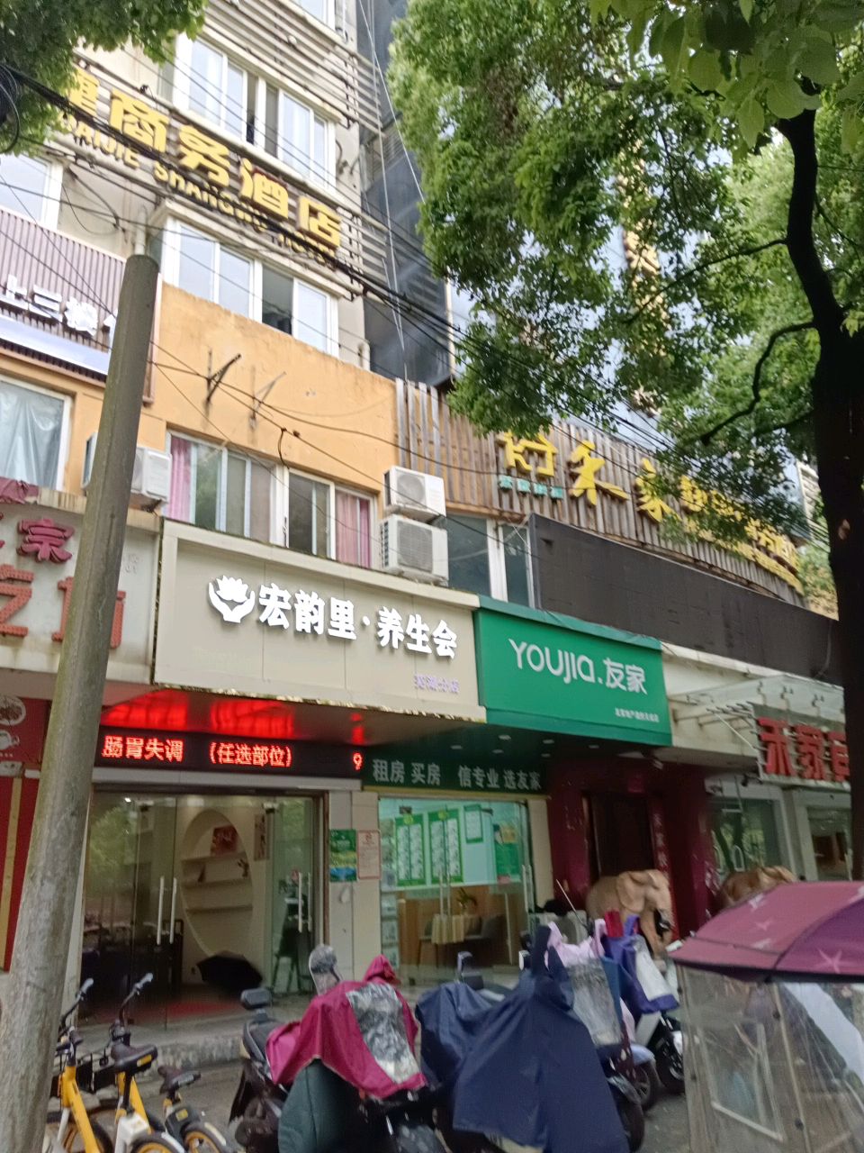 韵玑里宏毒·养生会