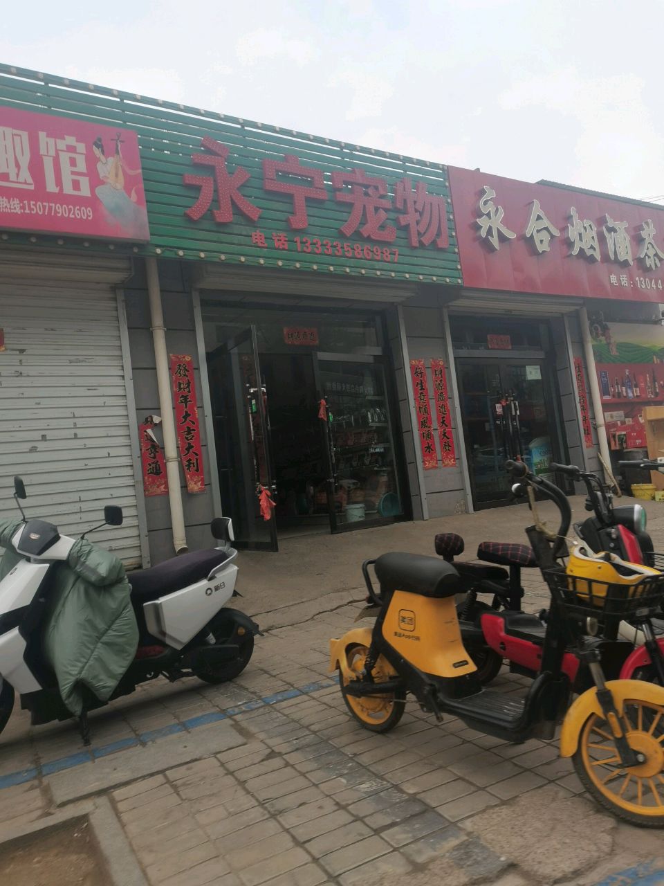 永宁宠物