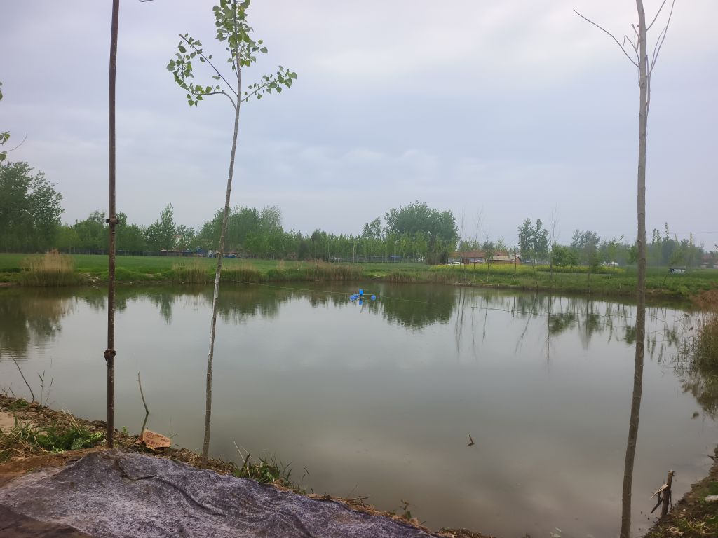西陈楼钓场