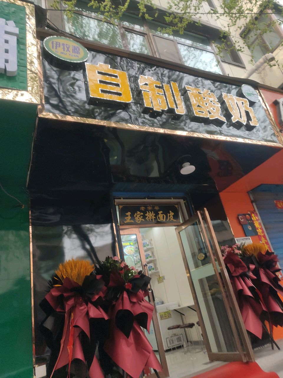 自制酸奶(王家擀面皮)