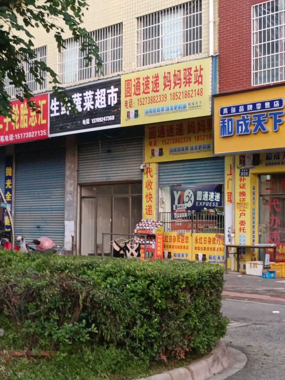 金运生鲜蔬菜超市
