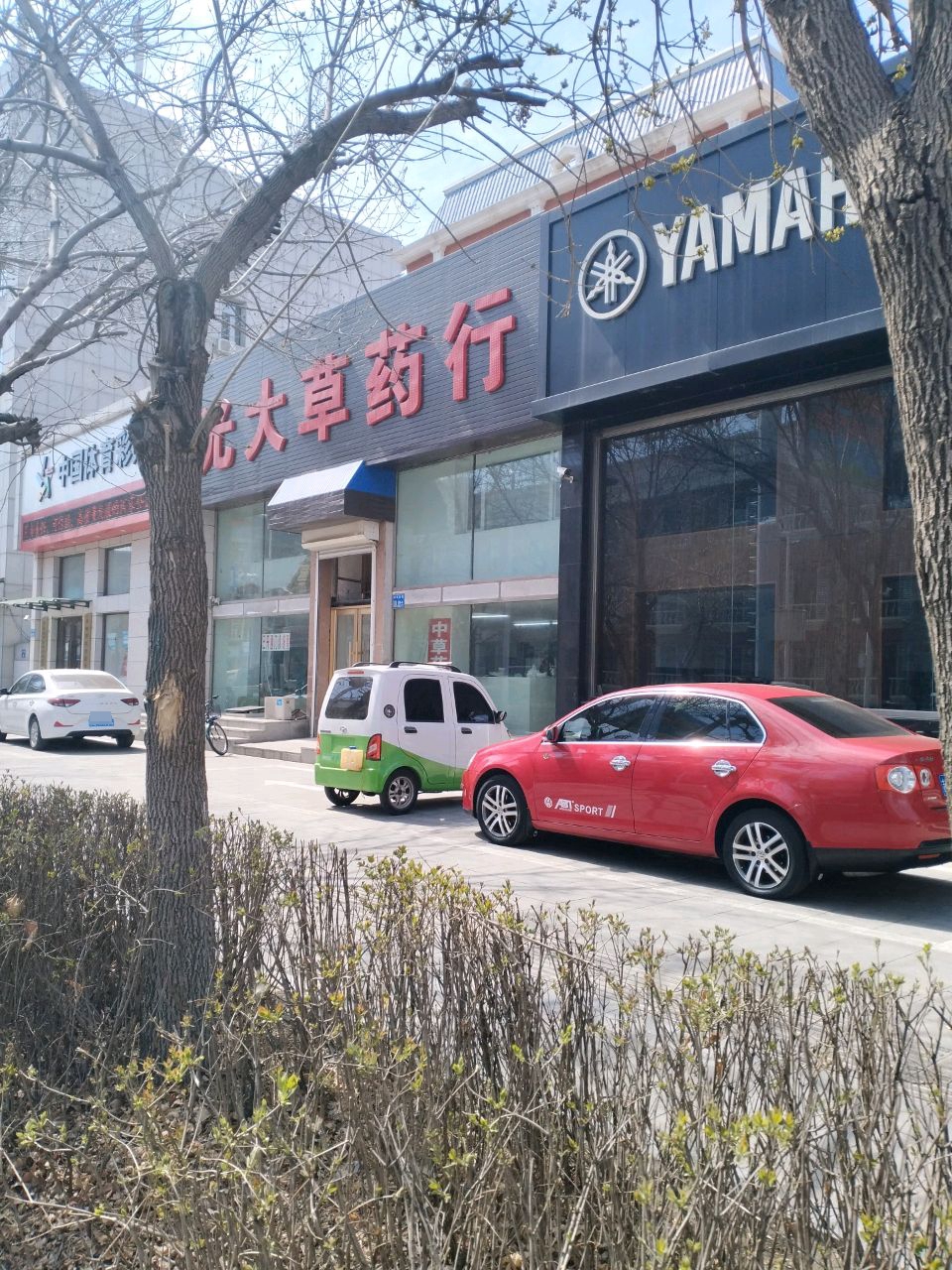 光大草药行