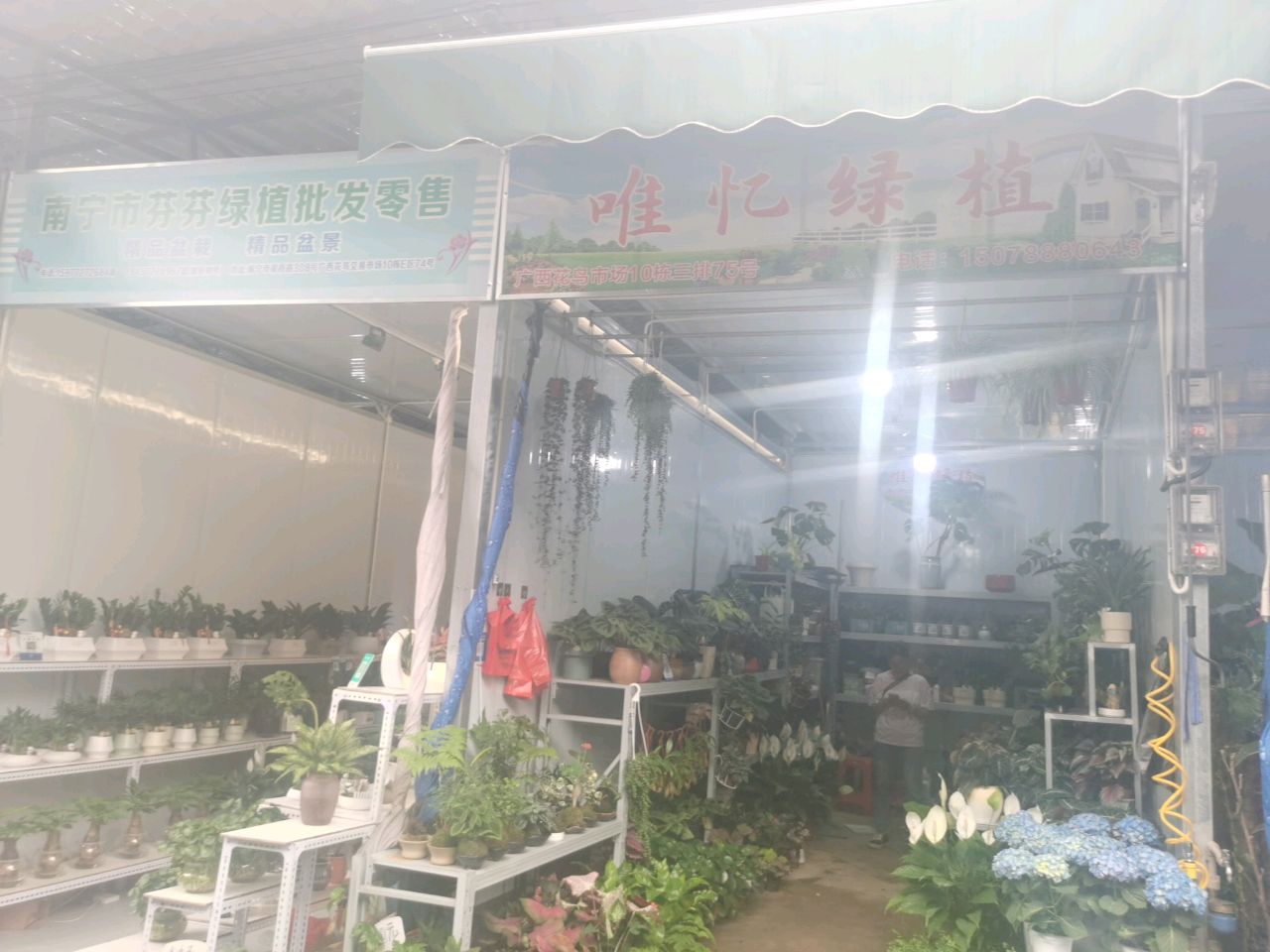 唯忆绿植