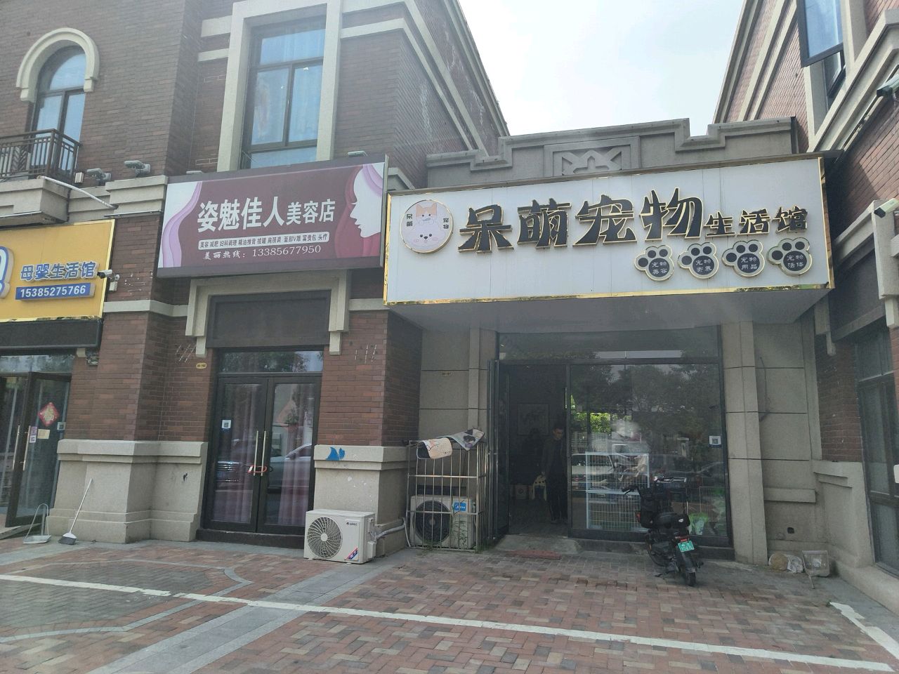 呆萌宠物