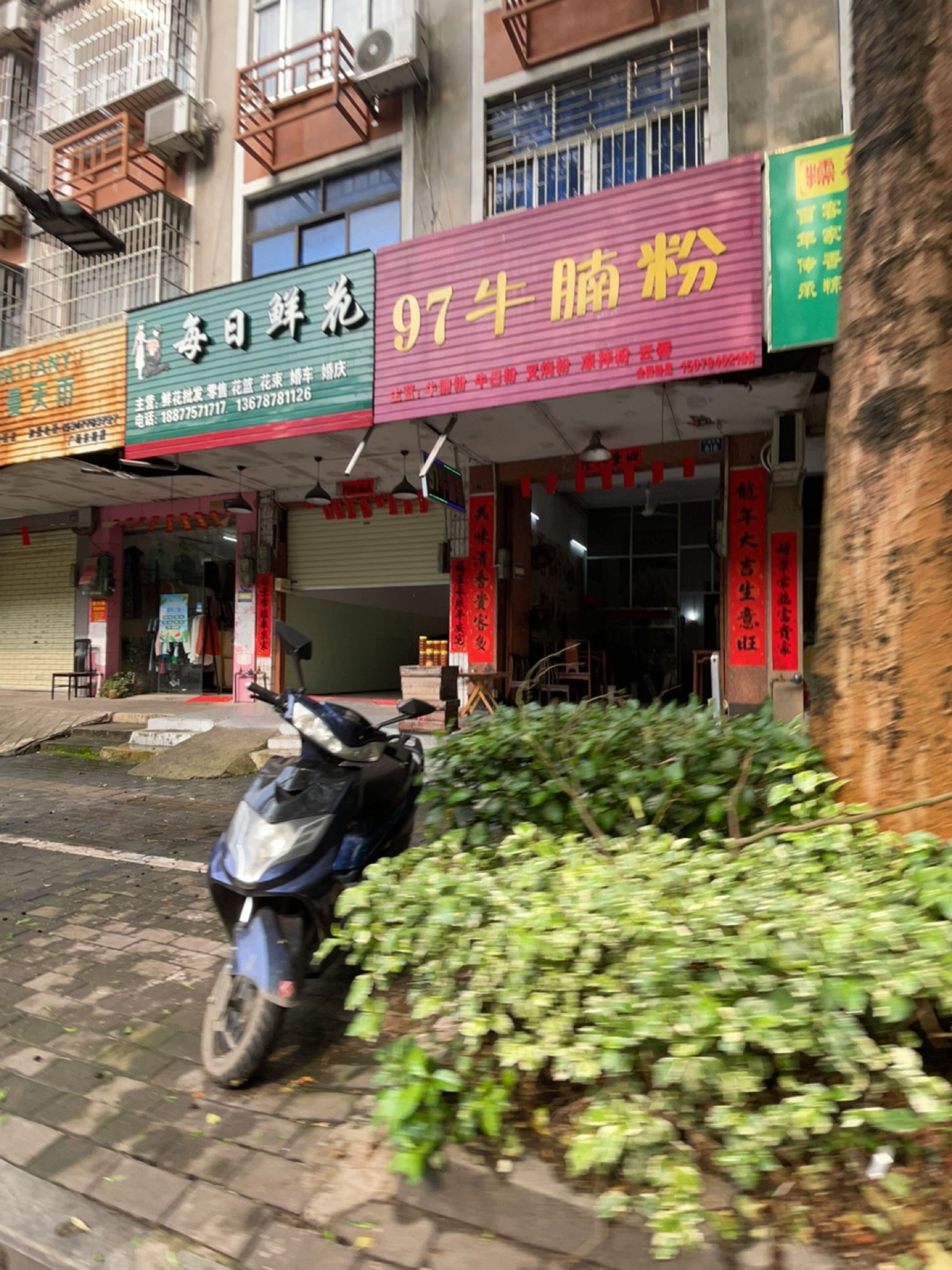每日鲜花花店(广场东路店)
