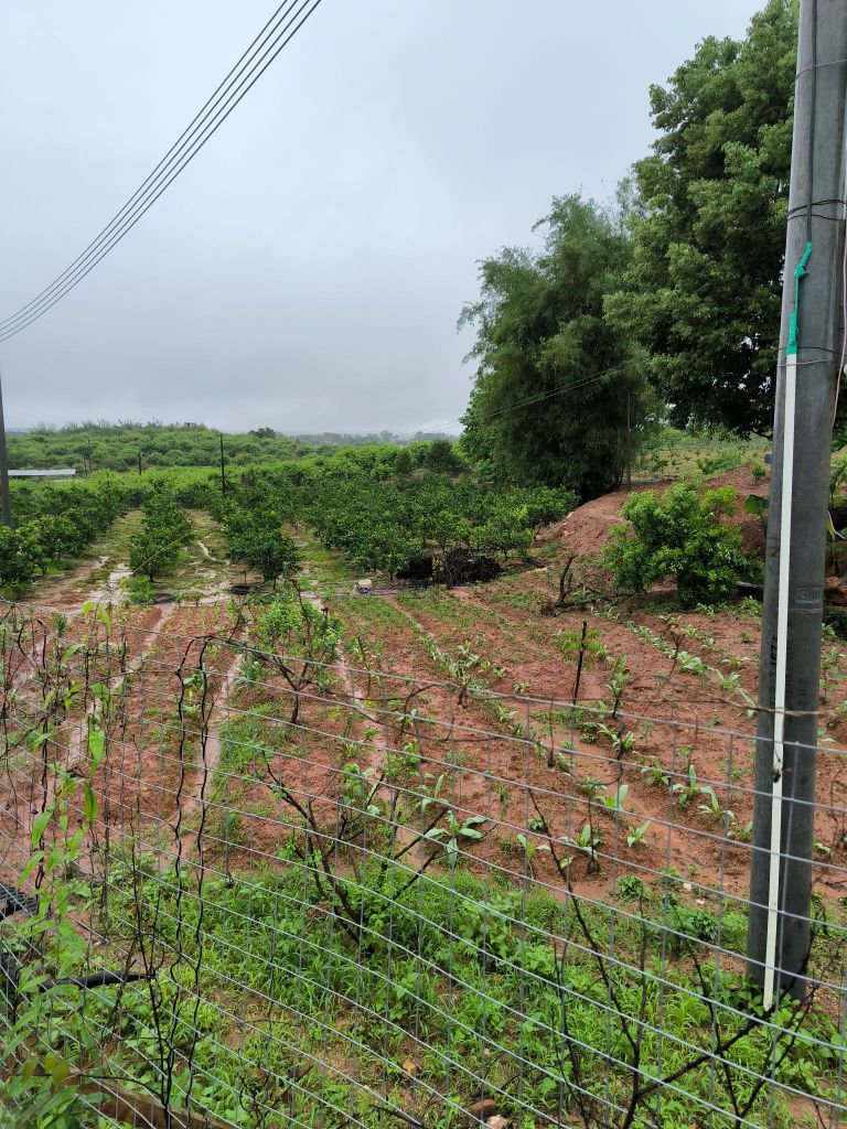 广东省韶关市南雄市珠玑镇祗芫志财农场