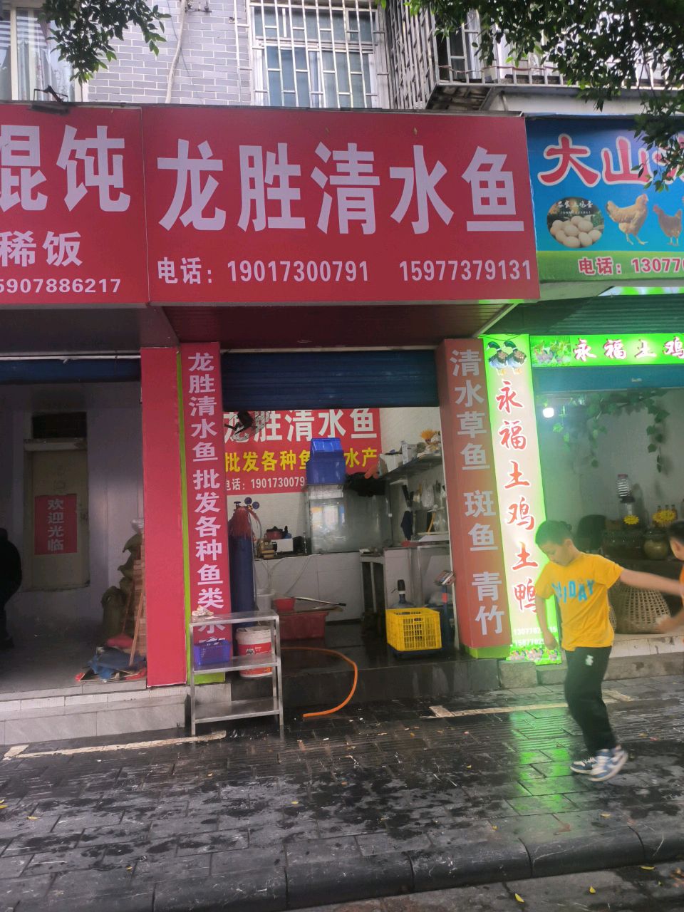 龙胜清水鱼