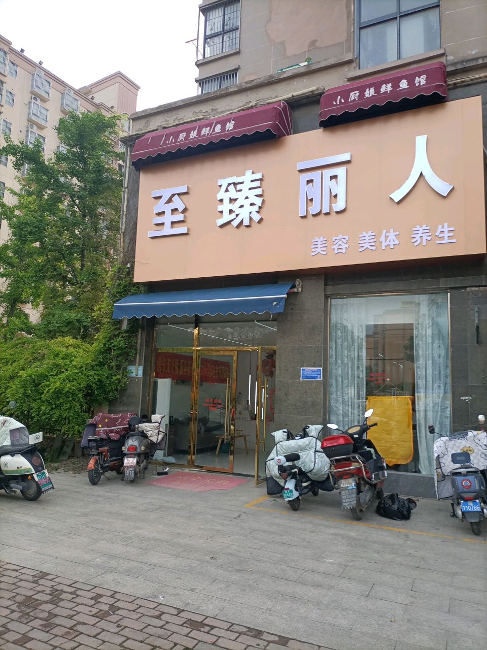 至臻丽人