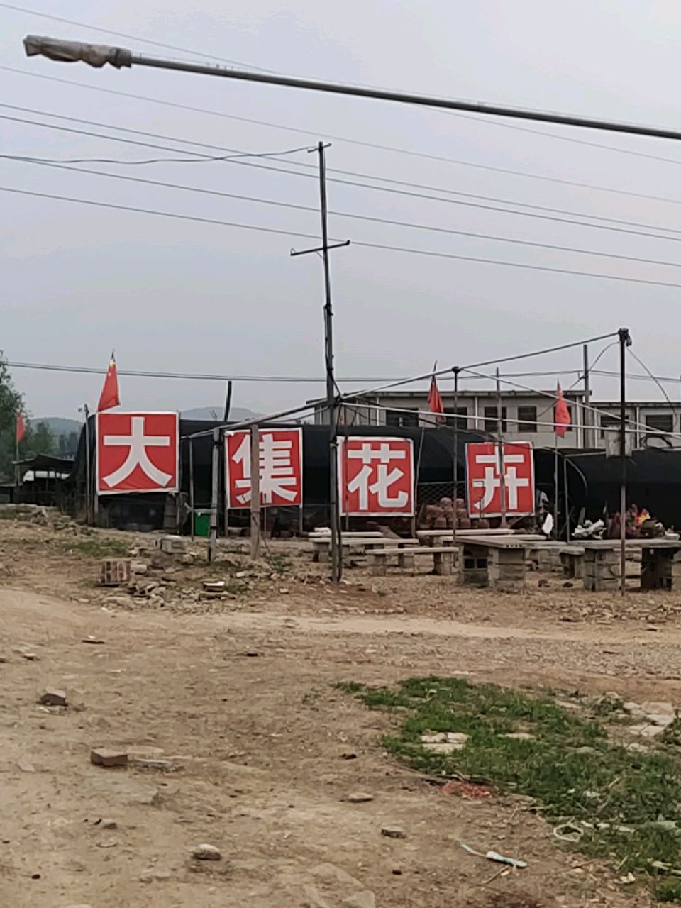 临沂费县大集花卉