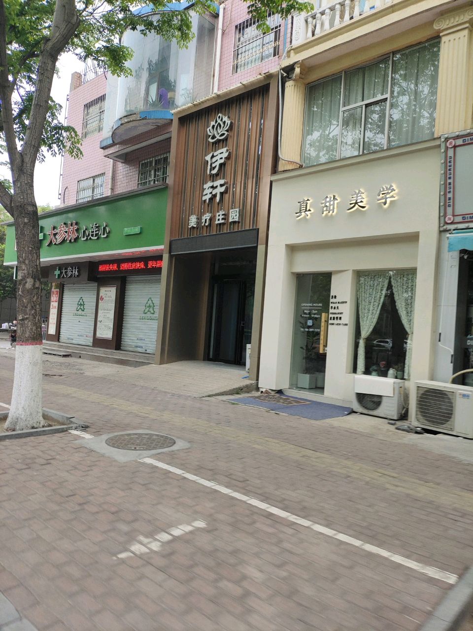 真甜美学
