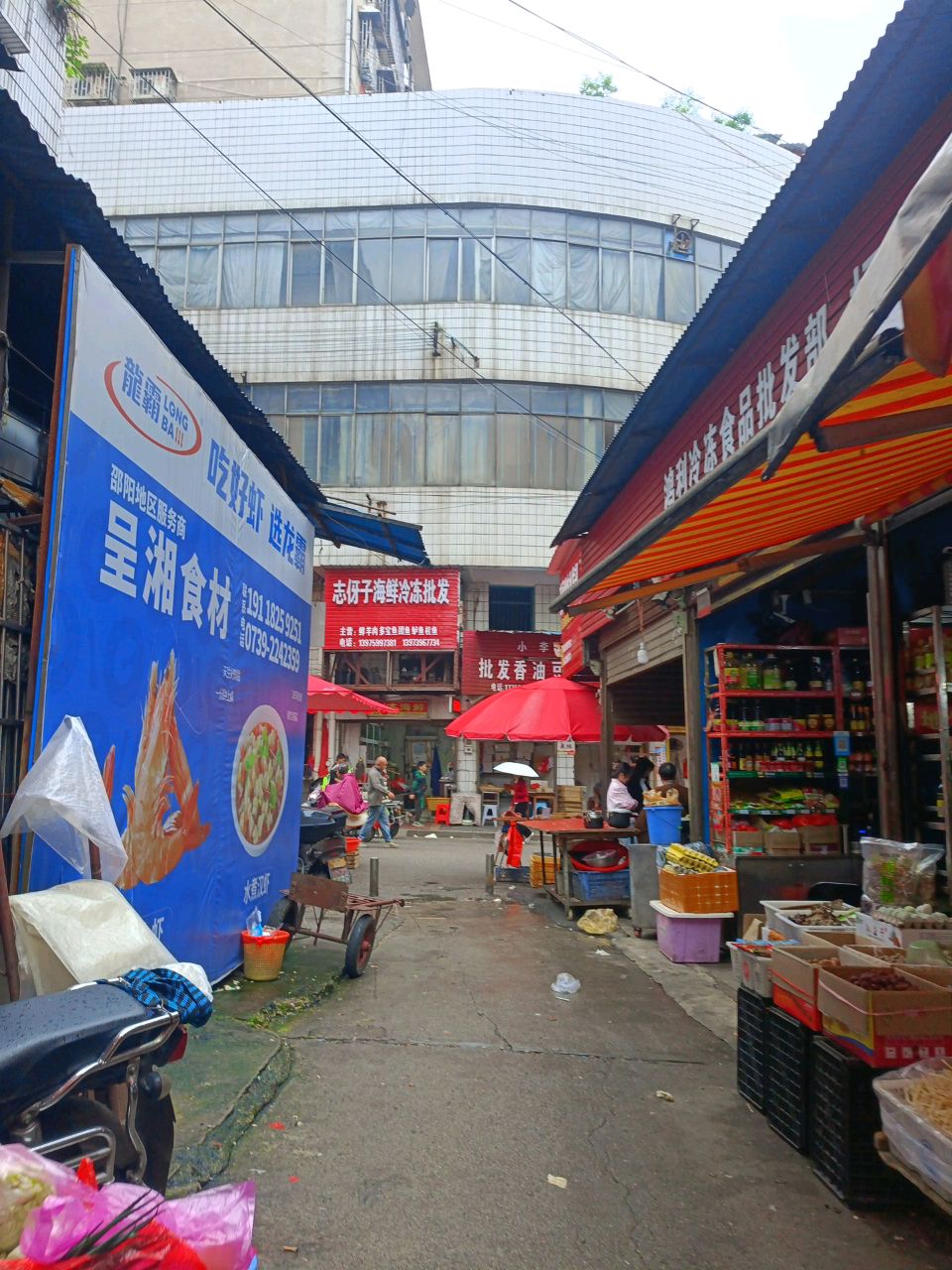 小夏海鲜批发