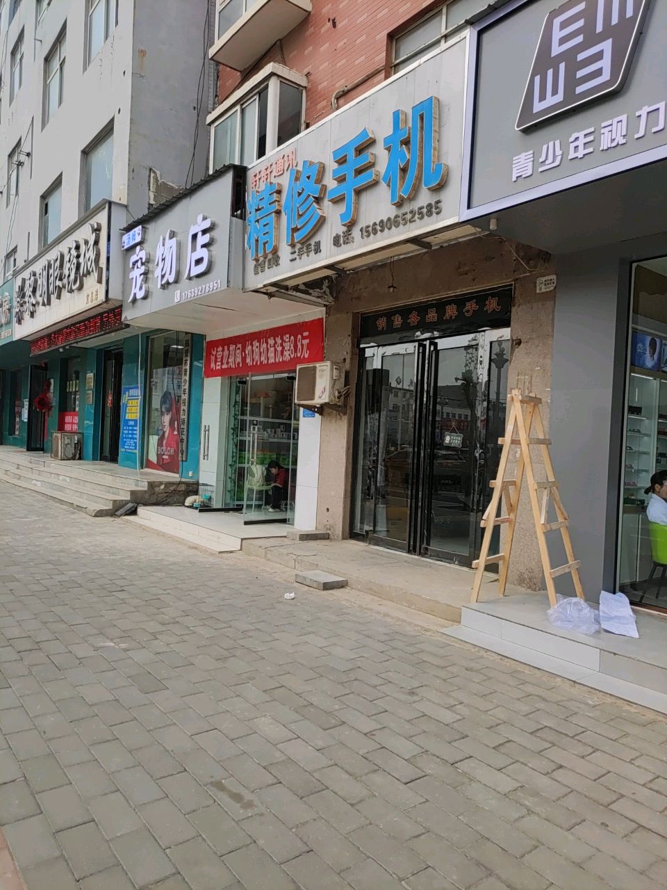 酾张汤姆堍宠物店