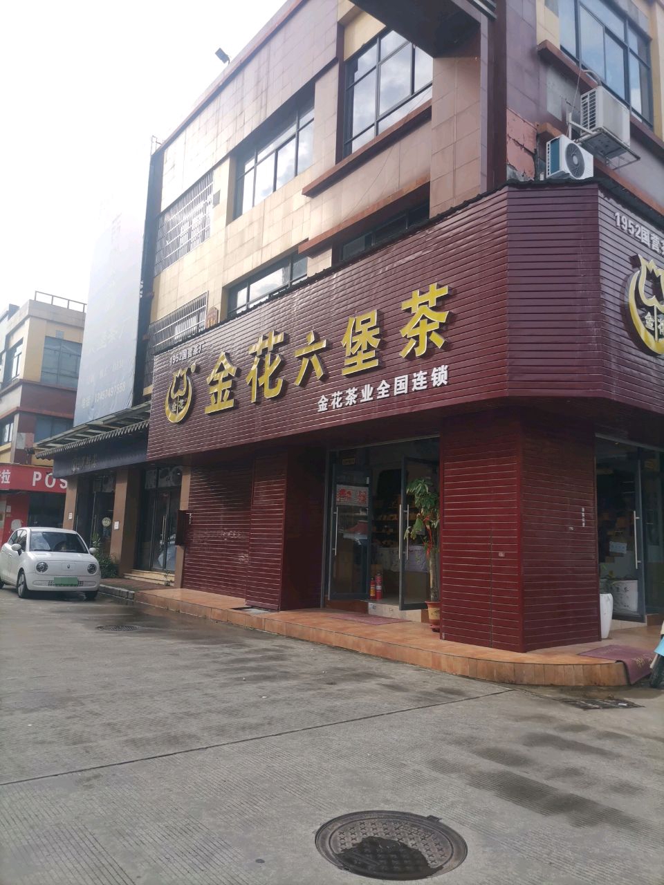 金花六堡茶
