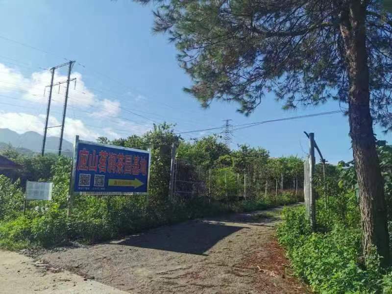 英德市茗润天下茶叶专业合作社