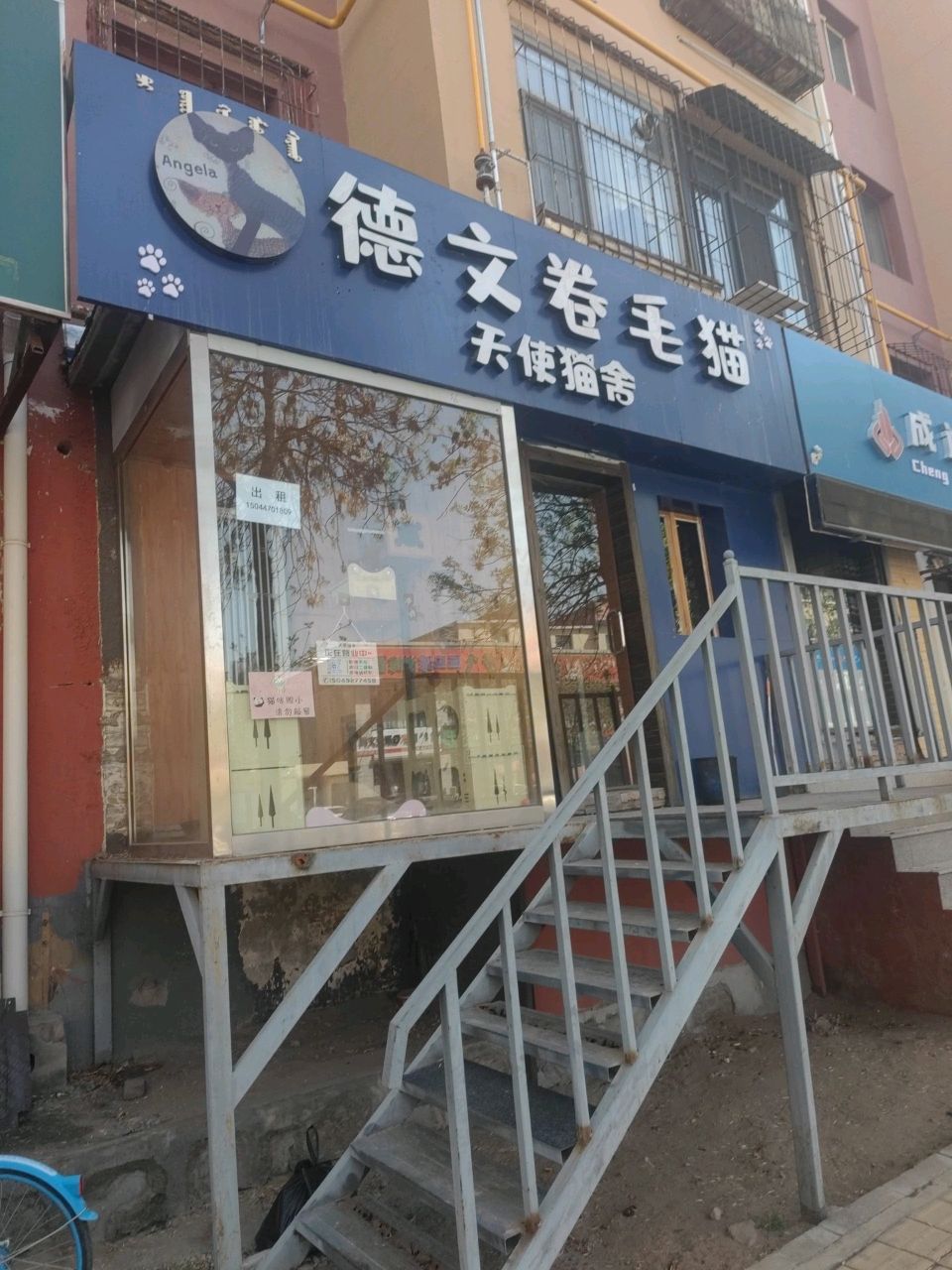 天shi猫舍(乌兰小区店)