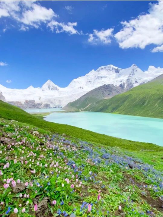 西藏青年国际旅行社