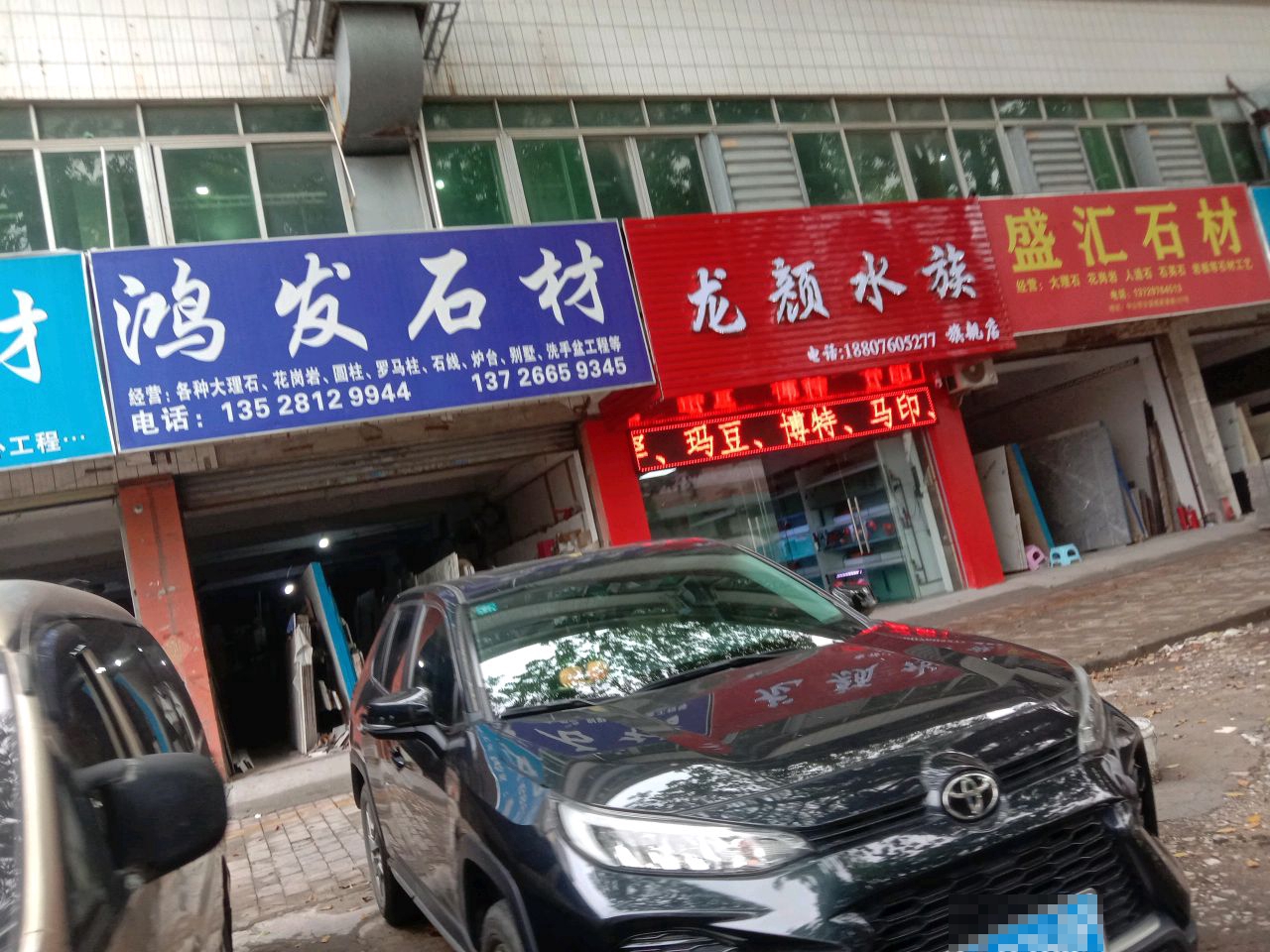 龙颜水族旗舰店