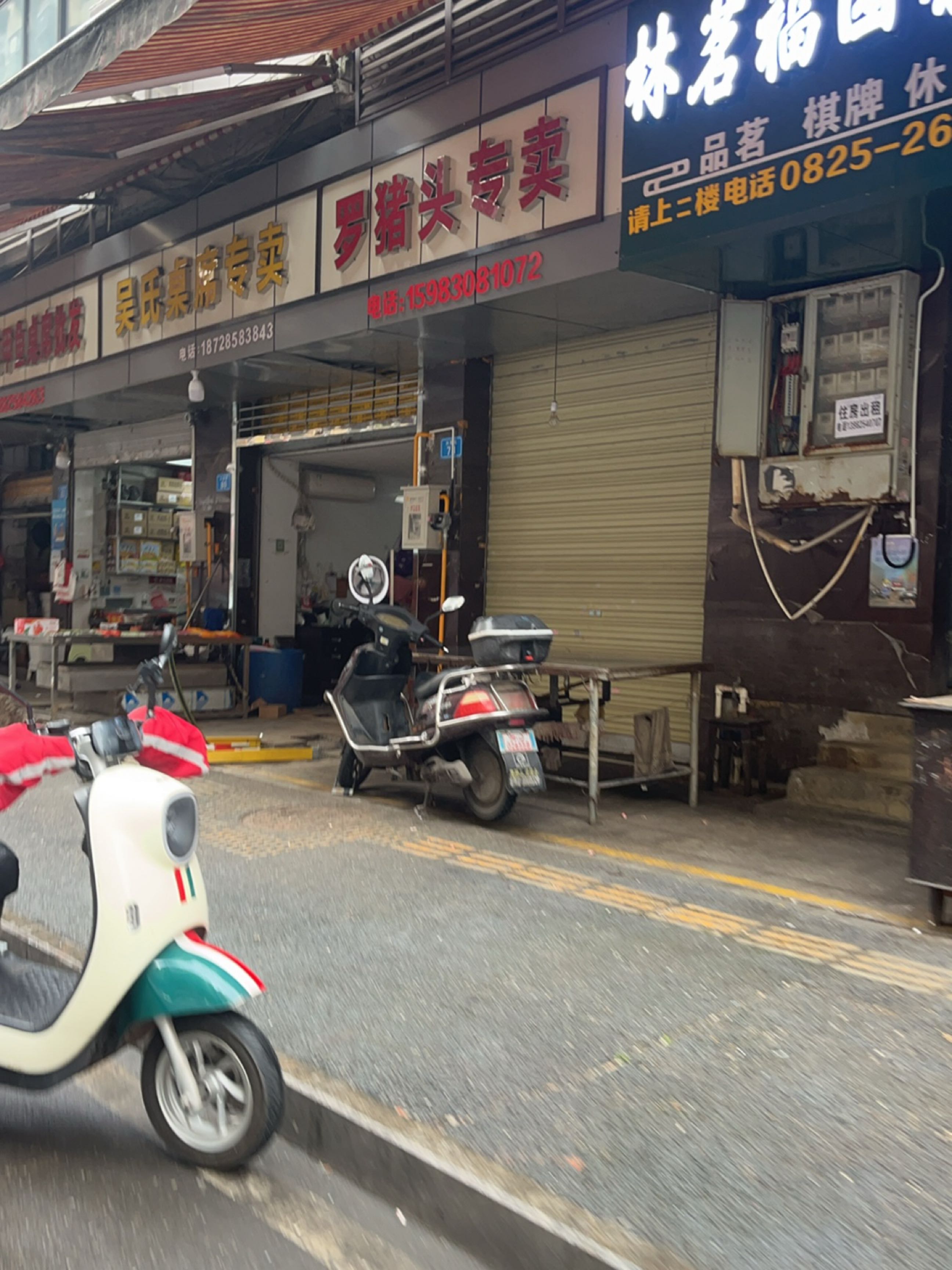 郭氏乌龟甲鱼鸽子批发部