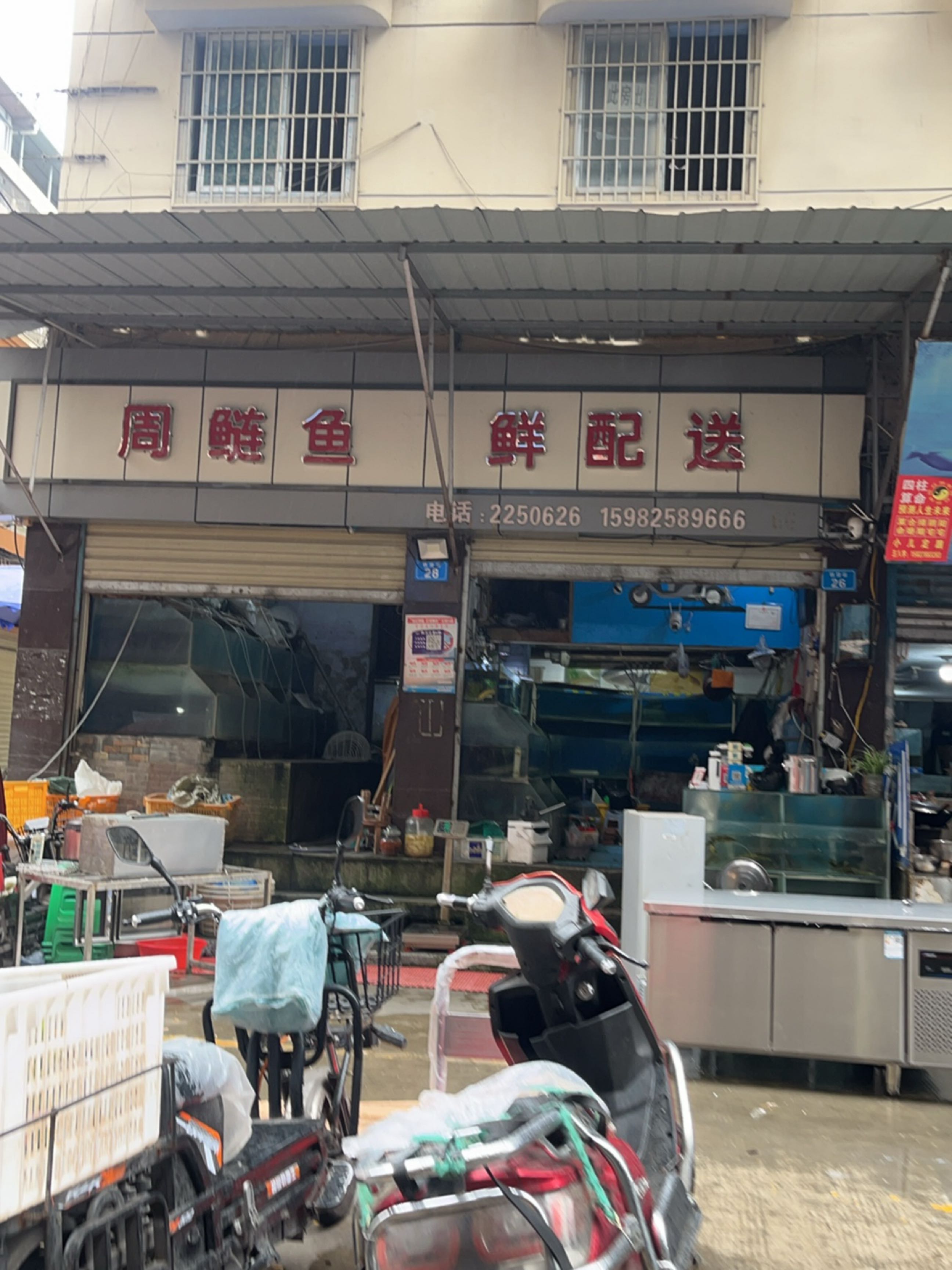周鲢鱼鲜配送