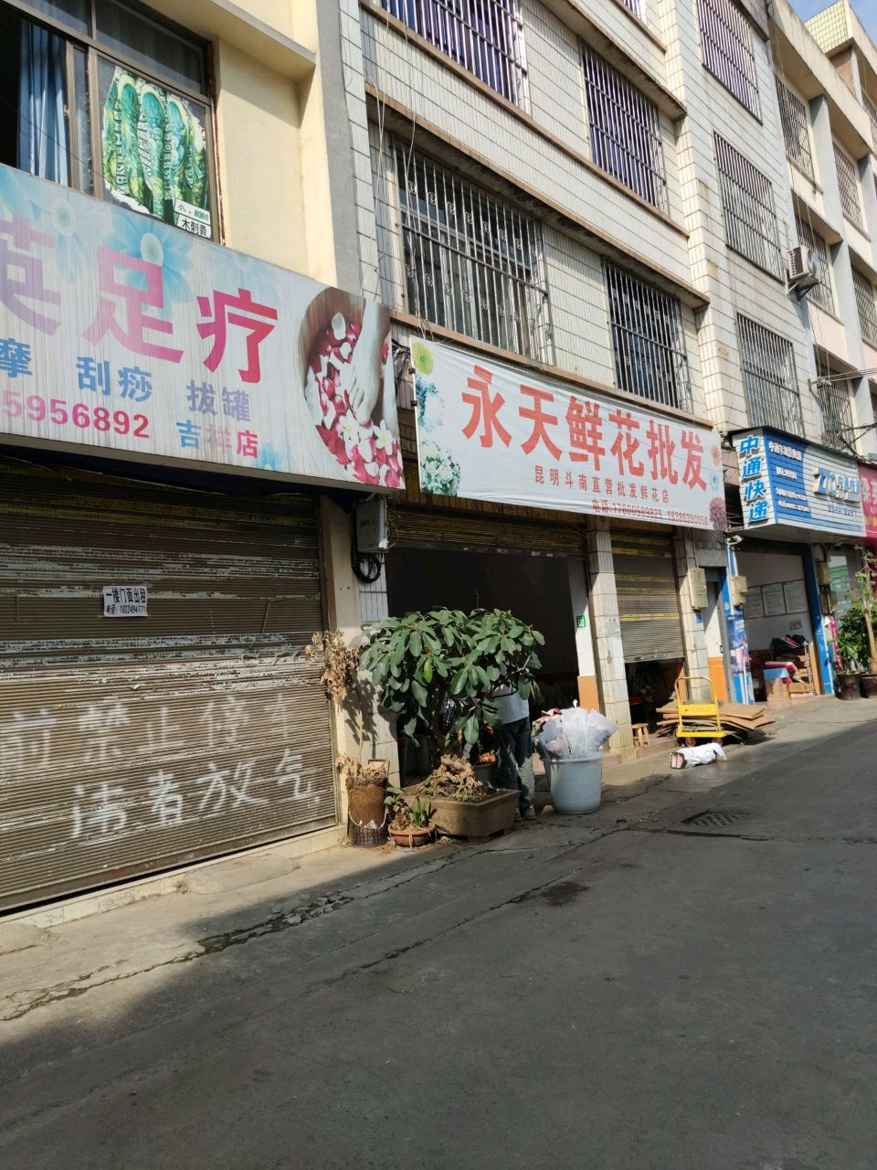 薇爱鲜花(草木籽花艺)