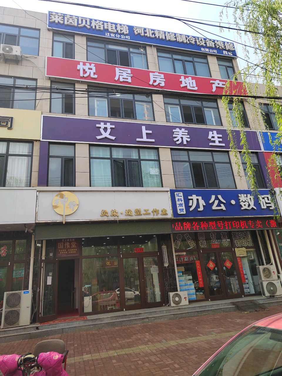 艾上养生