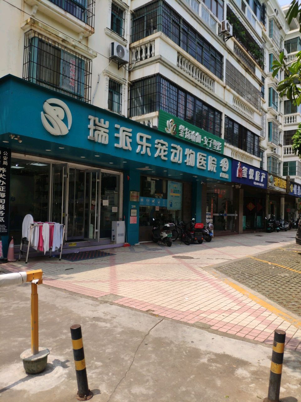 紫扬瑜伽·女子塑形