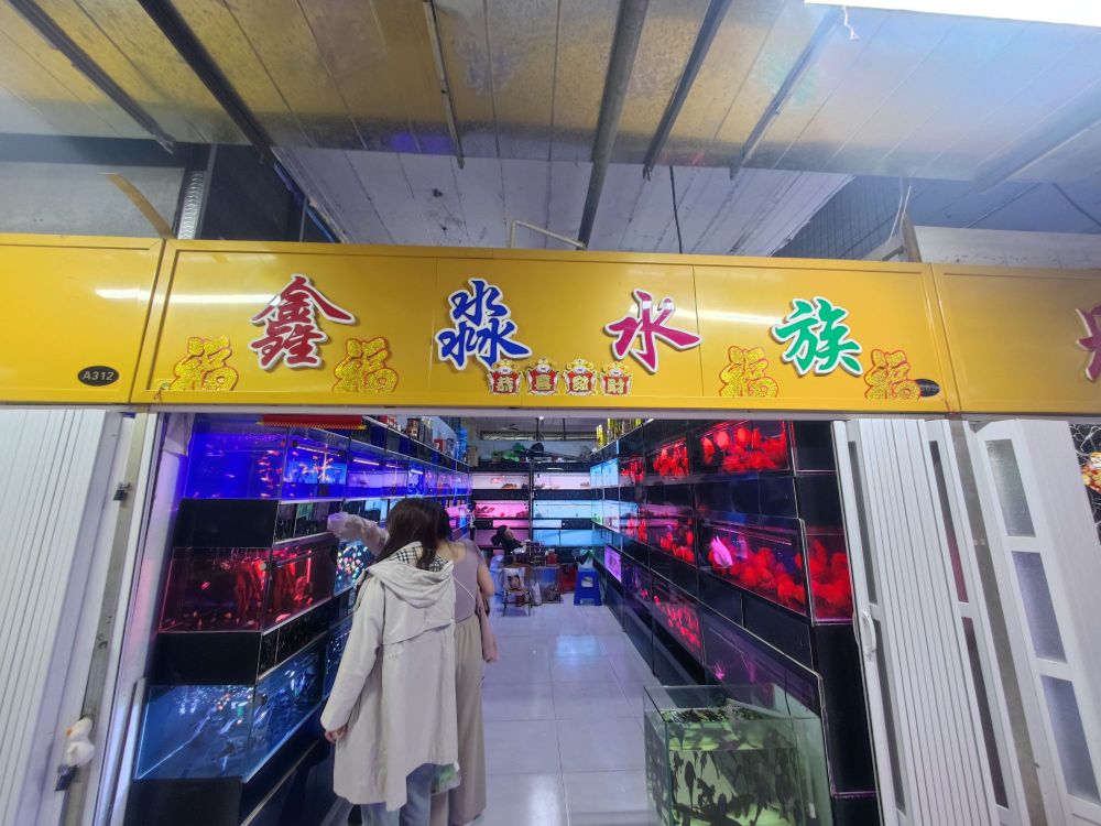 鑫淼水族(大发店)