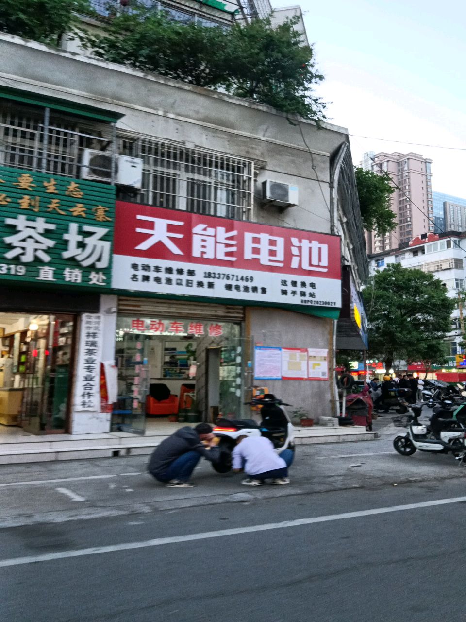 天能电池(人民路店)