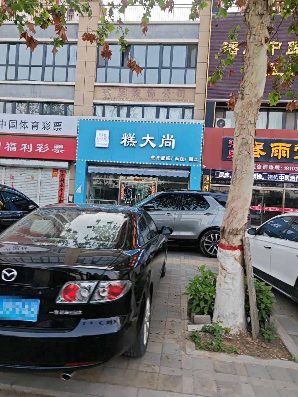 糕大尚