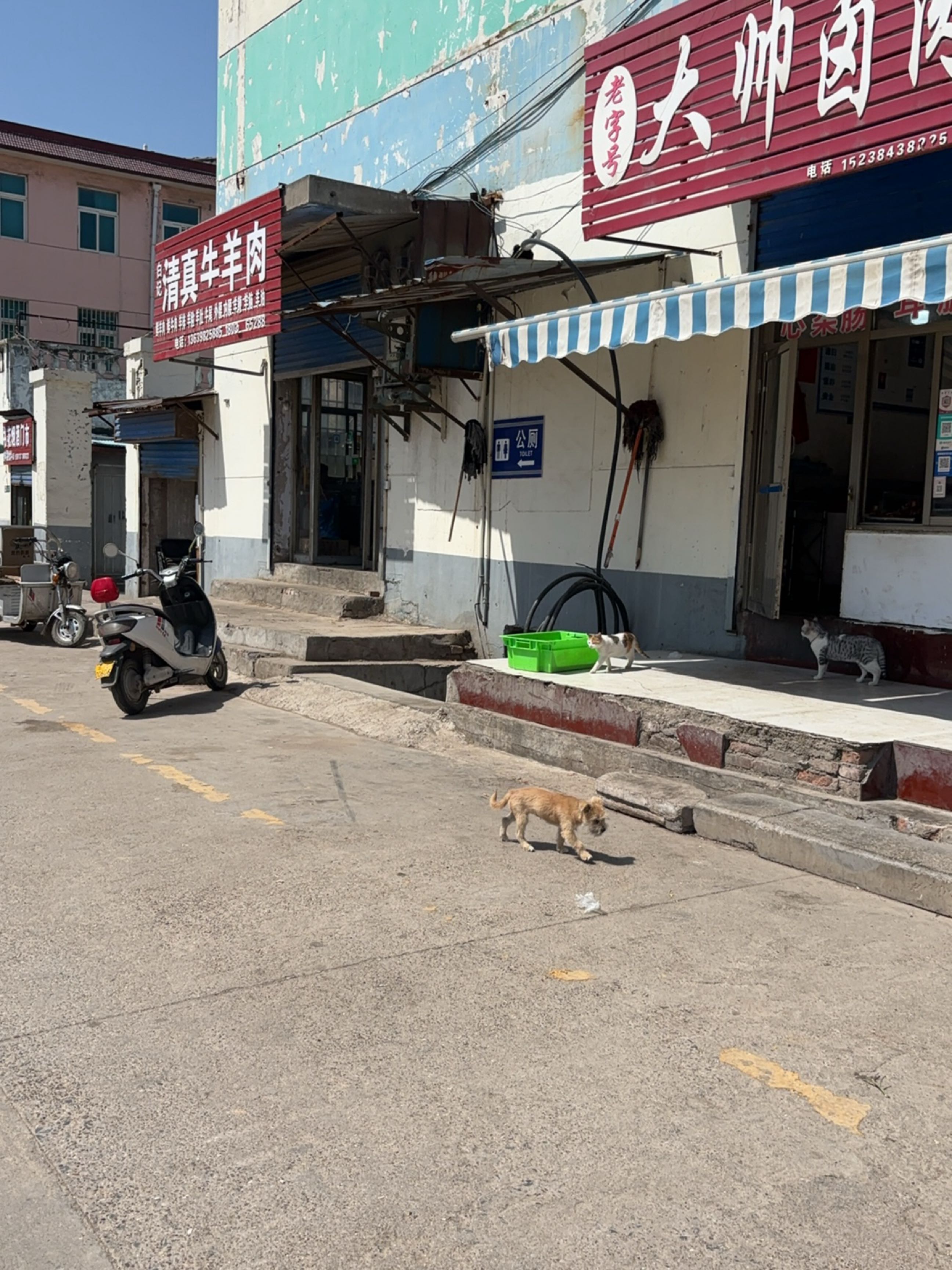 白记清真牛羊肉店