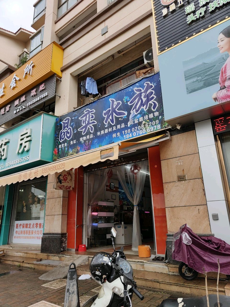 晶奕水族(州际新天店)