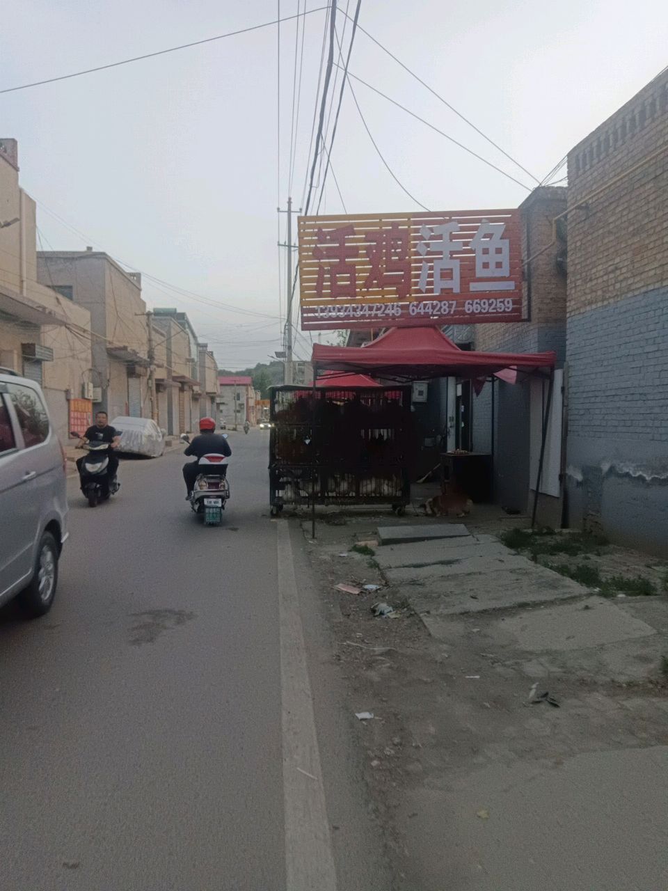 活鸡活鱼(南环路店)
