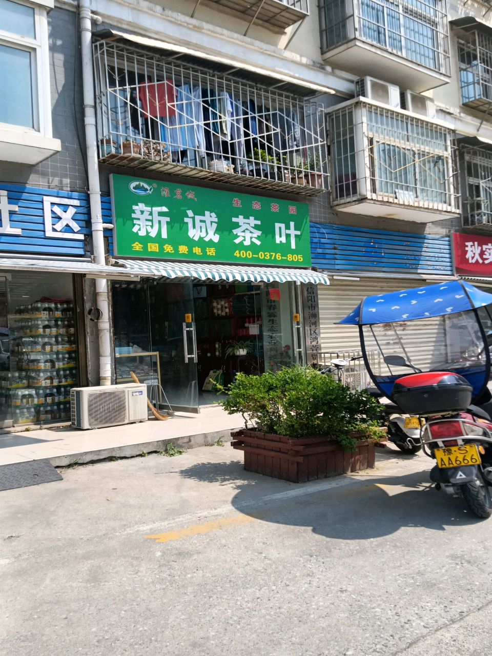 新诚茶叶