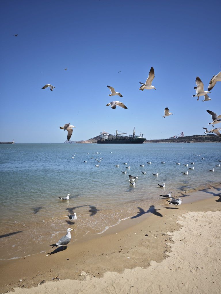 海鸥沙滩游乐园