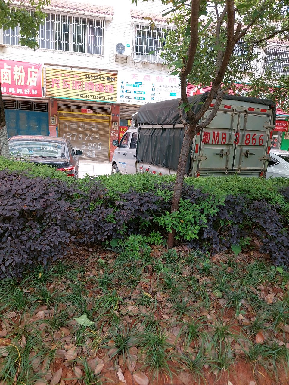 天幕数码