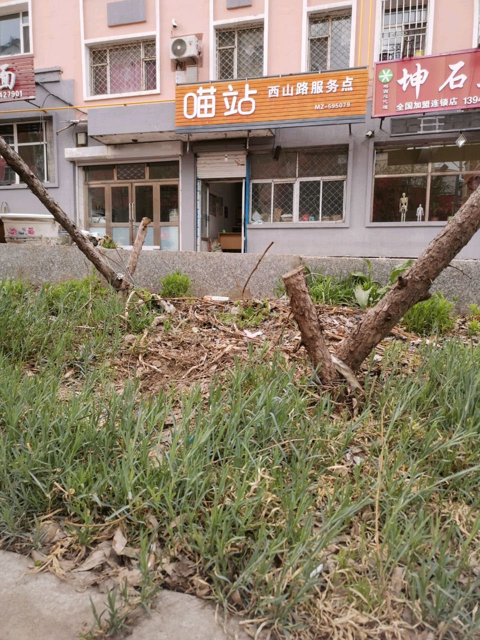 喵站